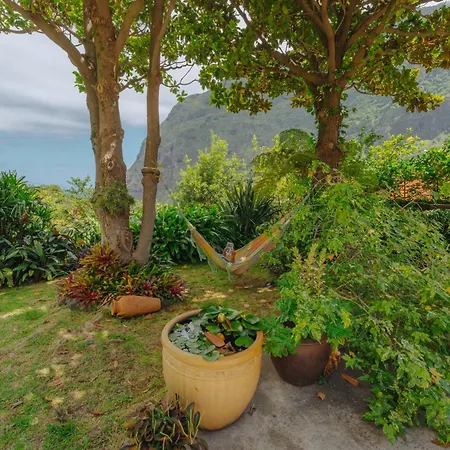 Garden *