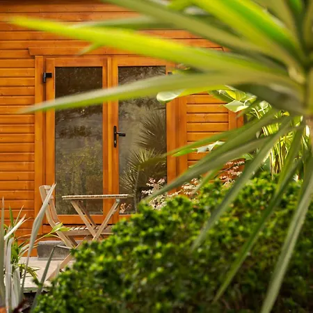 Garden * São Vicente
