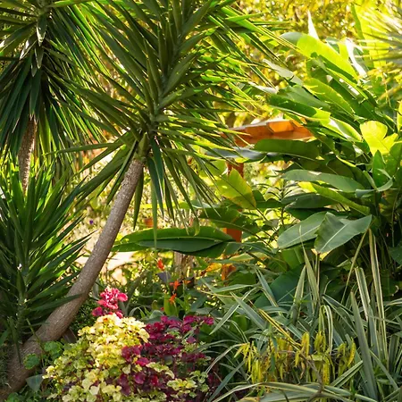 Chalet Garden São Vicente